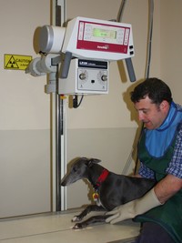 animal clinic xray