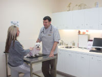 mentone vet animal consulting