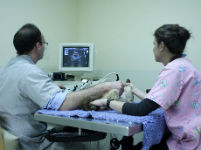 animal ultrasound service